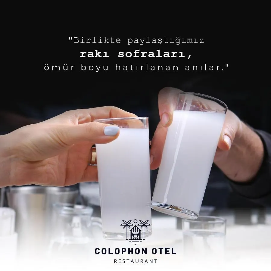 Colophon Beach Otel 古穆杜尔 酒店